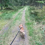 Det Blagronne Hus *
