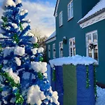 Det Blagronne Hus * Hals