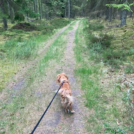 Det Blagronne Hus *