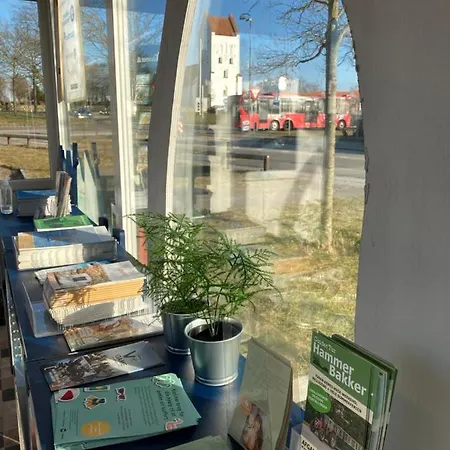 公寓 Det Blagronne Hus Hals