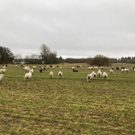 アパート Det Blagronne Hus Hals