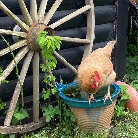 Det Blagronne Hus Appartement *