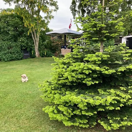 Det Blagronne Hus Appartement
