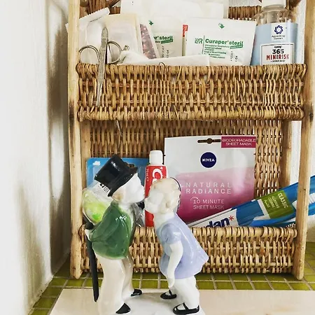 Det Blagronne Hus Appartement