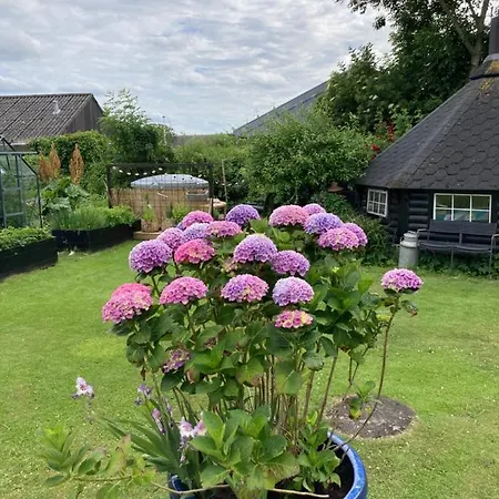 Appartement Det Blagronne Hus Hals