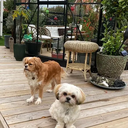 Det Blagronne Hus 公寓