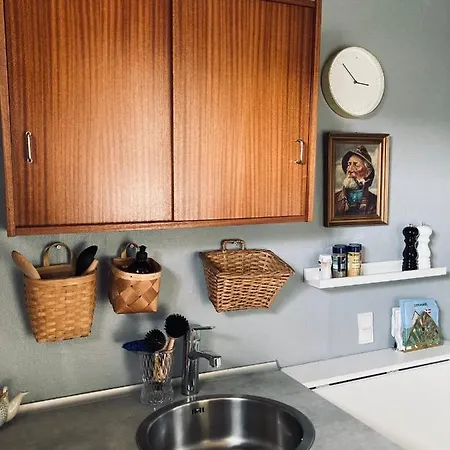 Det Blagronne Hus Appartement *