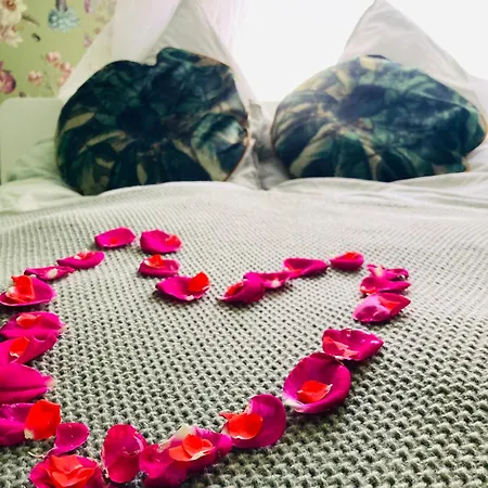 公寓 Det Blagronne Hus Hals