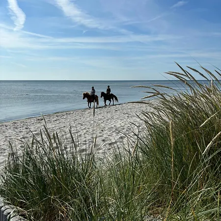 Appartement Det Blagronne Hus
