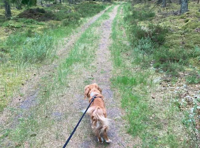 Det Blagronne Hus *