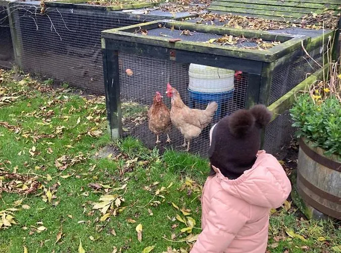 Det Blagronne Hus Hals