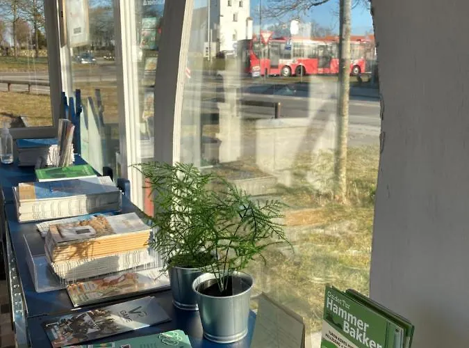 Apartamento Det Blagronne Hus Hals