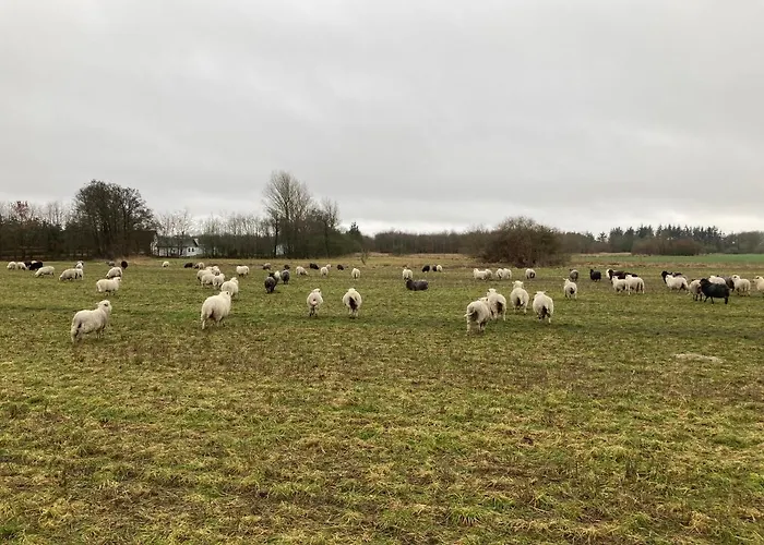 Apartamento Det Blagronne Hus Hals