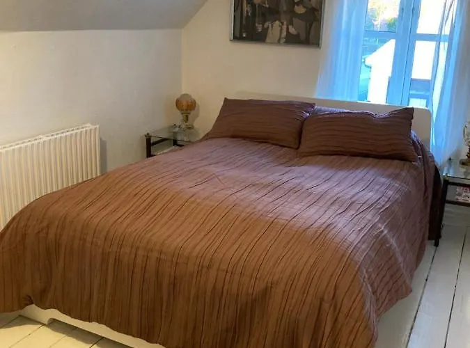 Det Blagronne Hus *