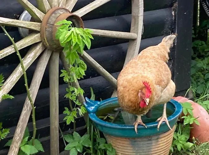 Det Blagronne Hus Apartamento *