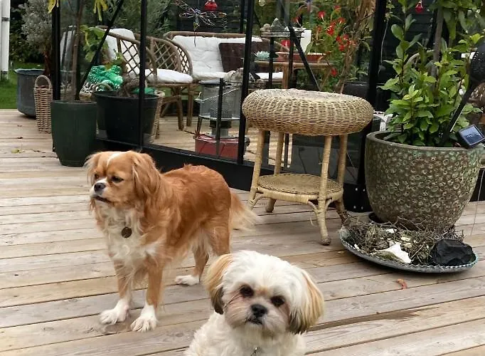 Det Blagronne Hus Apartamento