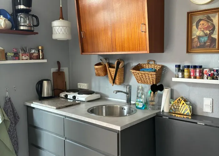 Apartamento Det Blagronne Hus Hals